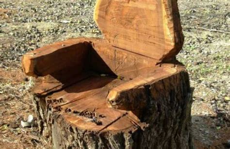 Culla aborigena australiana scavata nel legno