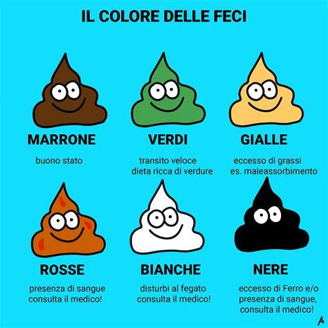 Significato dei diversi colori delle feci