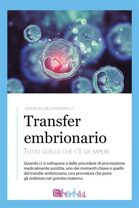 Illustrazione del transfer embrionario
