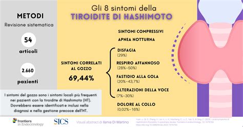 Schema che illustra il meccanismo autoimmune della tiroidite di Hashimoto