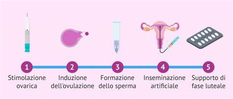 Illustrazione comparativa di due modelli di pistolette per inseminazione artificiale bovina