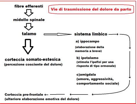 grafico che illustra i vari metodi di gestione del dolore nel travaglio