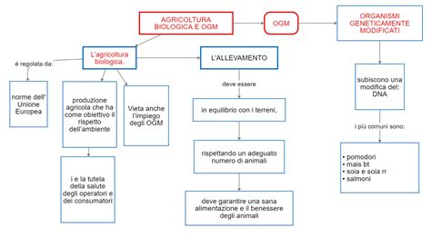 rappresentazione concettuale di una connessione biologica tra madre ed embrione