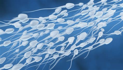 Diagramma della motilità degli spermatozoi influenzata da lubrificanti