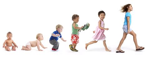 Grafico che mostra le diverse fasi di crescita di un bambino e i relativi gruppi di seggiolini auto