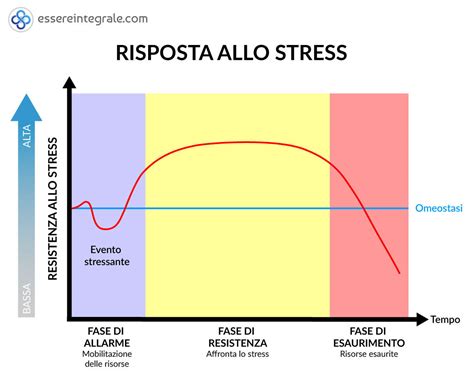 Effetti dello stress sulla spermatogenesi