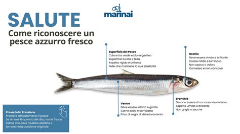 Diagramma sicurezza pesce fresco vs surgelato