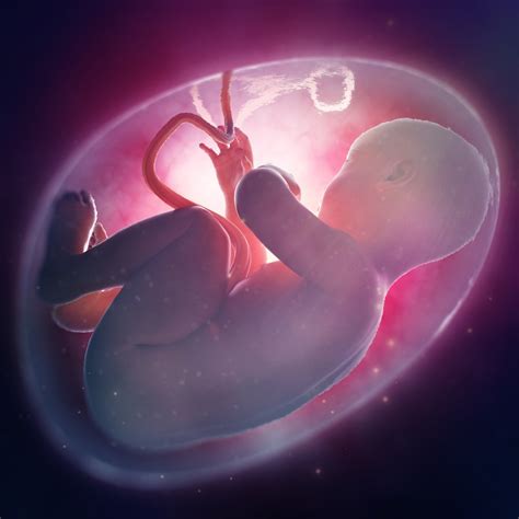 Bambino nel liquido amniotico