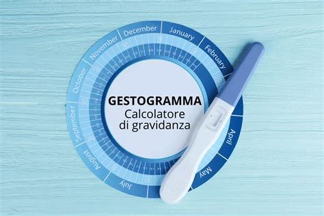 Illustrazione calcolatore gravidanza