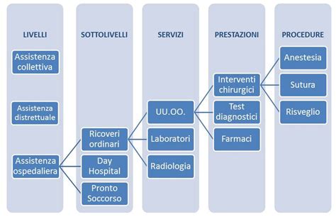Schema dei Livelli Essenziali di Assistenza (LEA) per la PMA in Italia