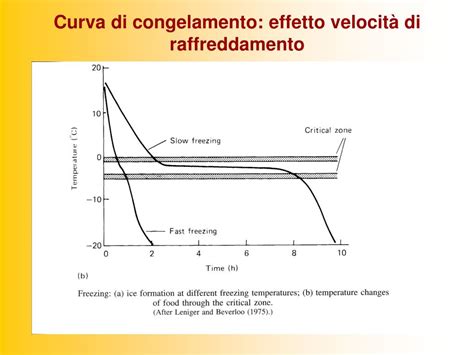 Processo di congelamento ovocitario