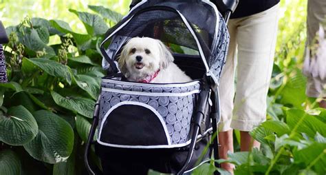 passeggino cane tutto terreno