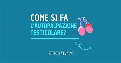 Autopalpazione testicolare e rilevazione noduli