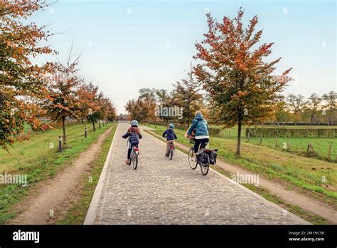 famiglia in bicicletta nel parco