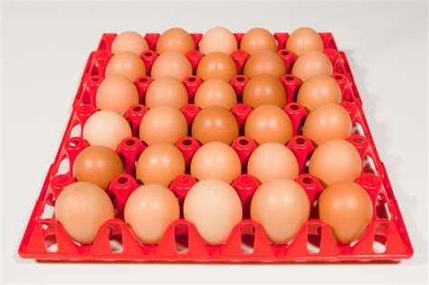 Vassoio per la conservazione delle uova