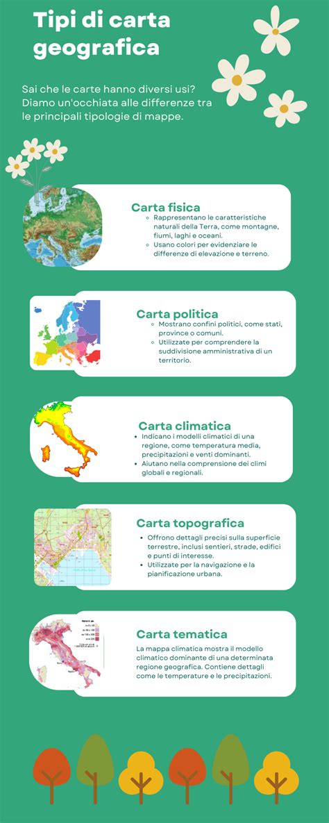 Infografica tipi di pappe