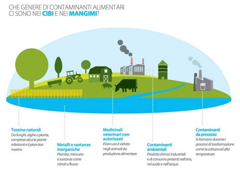 Diagramma contaminanti alimentari