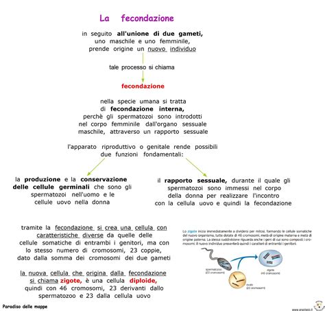 infografica che illustra il corretto tempismo per la fecondazione in base ai segnali di estro