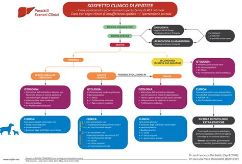 Algoritmo di Screening Epatite C in Gravidanza e Neonato