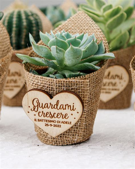 piccole piantine grasse in vasetti decorati, un'idea bomboniera ecosostenibile e molto apprezzata