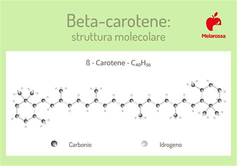 Struttura molecolare della beta hCG