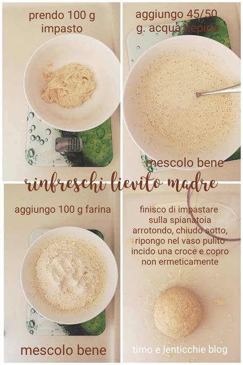 Lievito madre rinfrescato e pronto all'uso