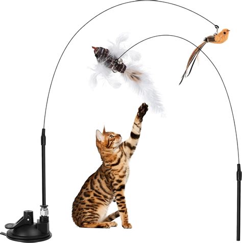 arco giochi con animali interattivi