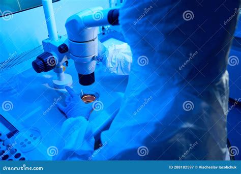 Immagine di embrioni in un incubatore time-lapse