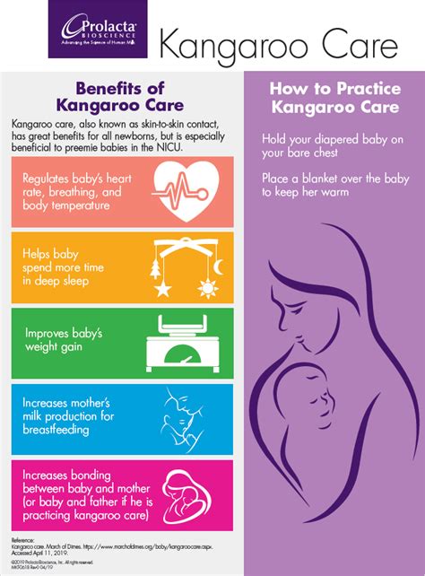 Infographic on Kangaroo Mother Care benefits