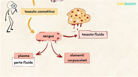 schema tecnico che mostra l'assorbimento del tessuto del bavaglino e il posizionamento del massaggiagengive