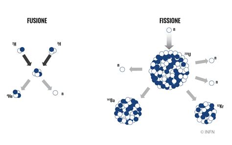 rappresentazione della fusione dei nuclei maschile e femminile e dei cromosomi