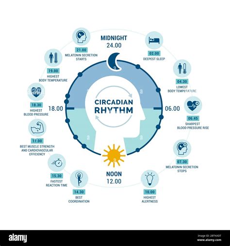 illustrazione su come l'ambiente di sonno influisce sugli ormoni