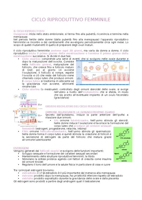 Ciclo riproduttivo femminile e metodi naturali