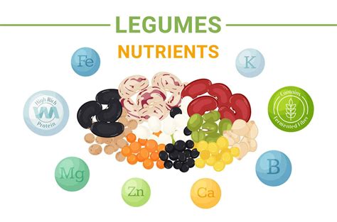 Infographic: Nutritional breakdown of legumes