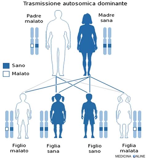 schema genetico che mostra le probabilità di trasmissione delle malattie autosomiche recessive
