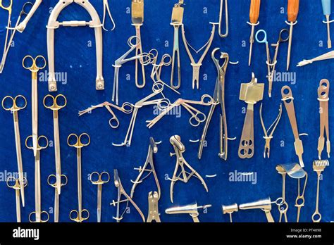 rappresentazione stilizzata dell'anatomia femminile e strumenti ginecologici