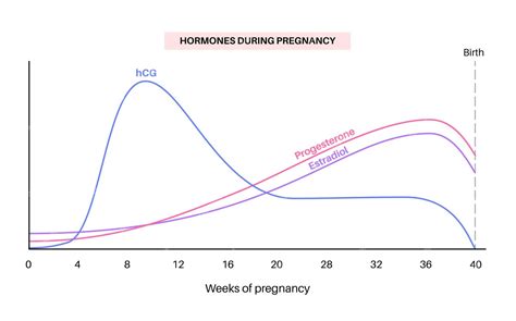 grafico che illustra il calo dei livelli di hCG e progesterone in un aborto precoce