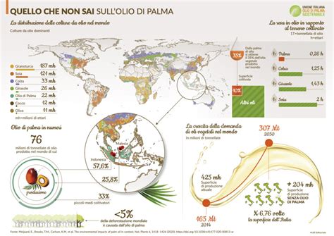 Impatto dell'olio di palma sulla salute