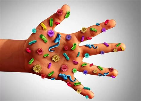 Microbiologia e sorveglianza delle infezioni