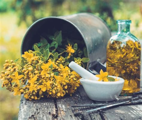 Olio di iperico e neonato