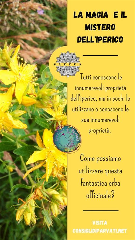 Avvertenze sull'uso dell'iperico