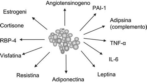 rappresentazione schematica del principio attivo del misoprostolo