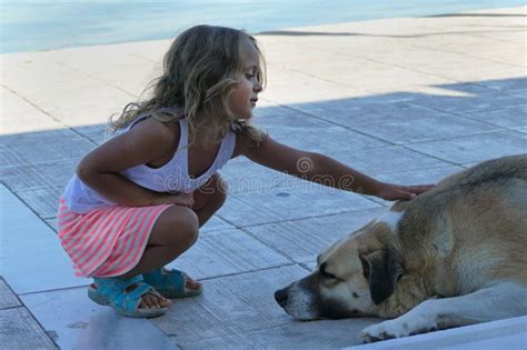 Un bambino piccolo che accarezza con delicatezza il cane sotto la supervisione di un genitore