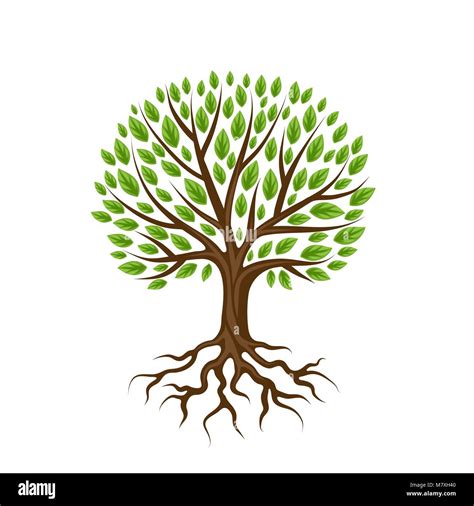 Albero stilizzato con foglie che simboleggiano la sostenibilità