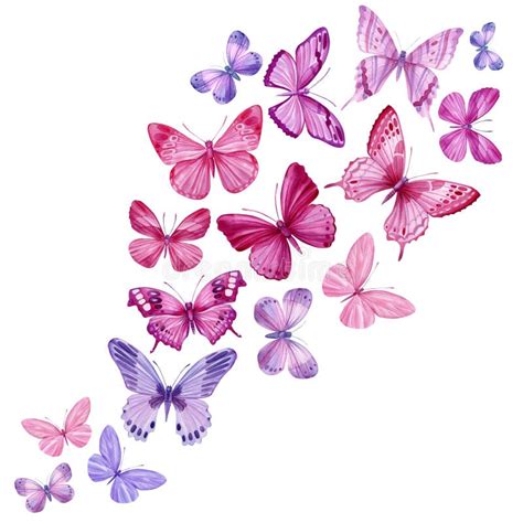 Illustrazione di farfalle viola