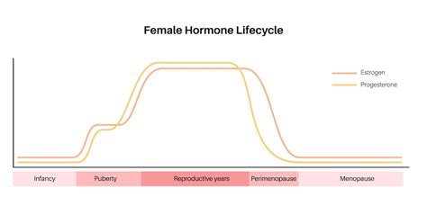 grafico dell'aumento degli ormoni hCG e progesterone nelle prime fasi della gestazione