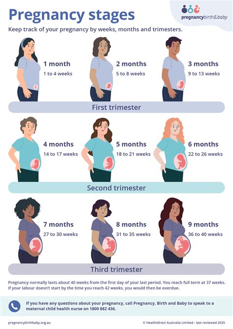 Calendar showing pregnancy weeks