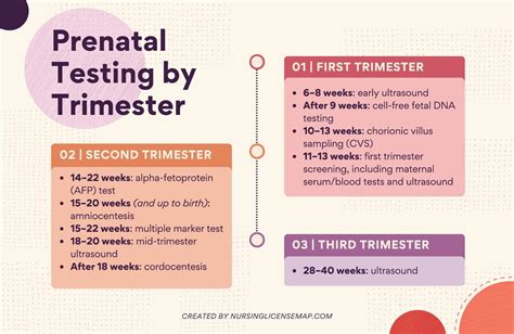 Pregnancy timeline with tests