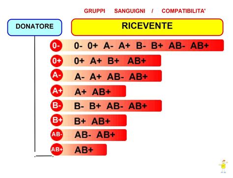 Schema di compatibilità adattatore ciuccio