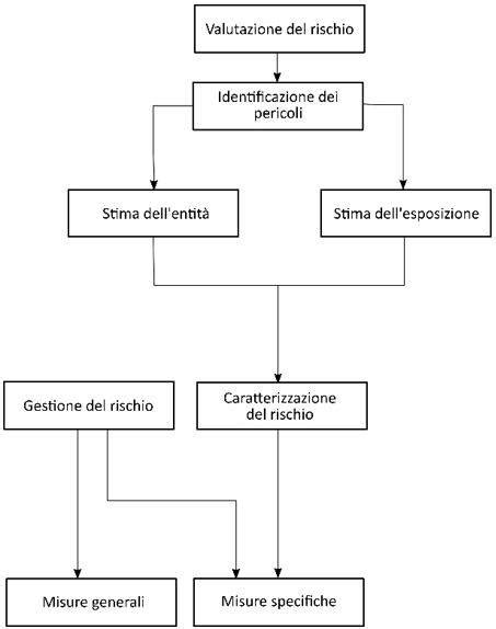 Diagramma di flusso sulla valutazione del rischio e le possibili azioni per le madri che allattano